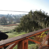 Country views from Gunners